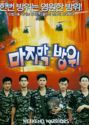 The Last Defense (1997) poster