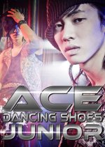 MTV Diary of AJ Korean TV Program photo