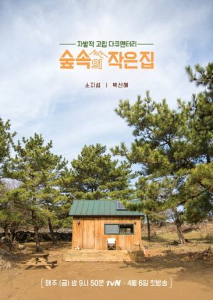 Little House In The Forest (2018) poster