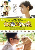 Neko Atsume no Ie Japanese Movie photo