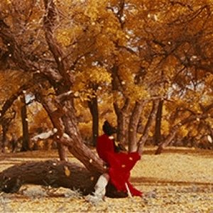 Kamisama no Boto  (2013)