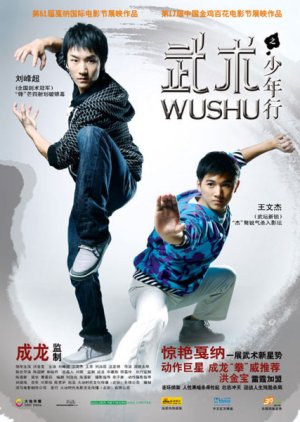 Wushu (2008) poster