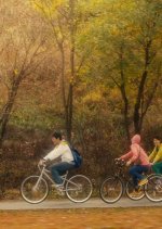 Dear Dolphin Korean Movie photo