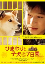 7 Days of Himawari & Her Puppies Japanese Movie photo