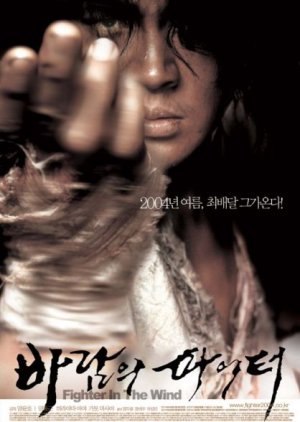 Fighter in the Wind (2004) poster