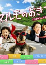 Marumo no Okite Japanese Drama photo