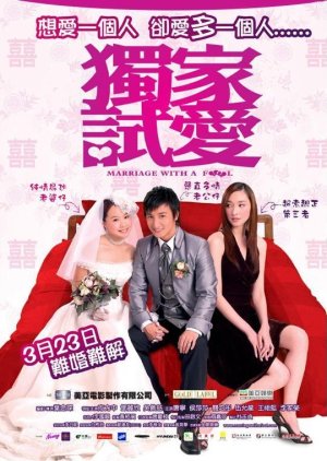 Marriage with a Fool (2006) poster