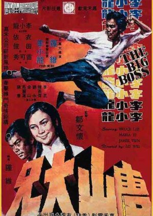 The Big Boss (1971) poster