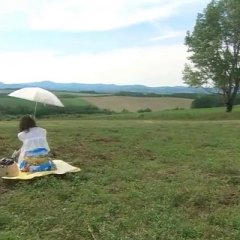 Ushi ni Negai wo: Love and Farm Japanese Drama photo
