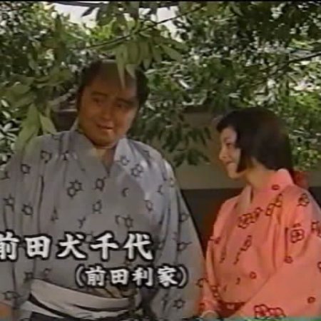 Hideyoshi  (1996)