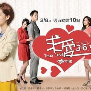 True Love 365 (2013)