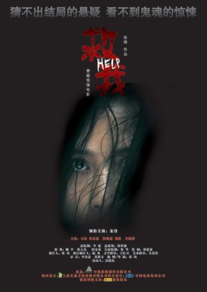 Help (2008) poster