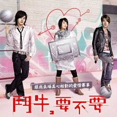 Bull Fighting Taiwanese Drama photo