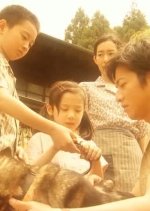 Antarctica Japanese Drama photo