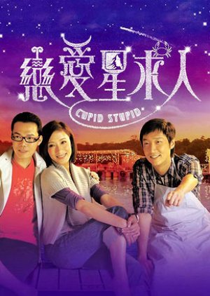 Cupid Stupid (2010) poster