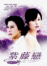 Amor de Tarapaca Taiwanese Drama photo