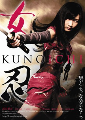 The Kunoichi: Ninja Girl (2011) poster