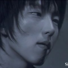 The Hotel Venus (2004) photo