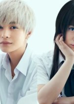 Haganai: I Don't Have Many Friends Japanese Movie photo