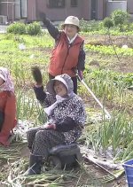 Public Affairs Office in the Sky Japanese Drama photo