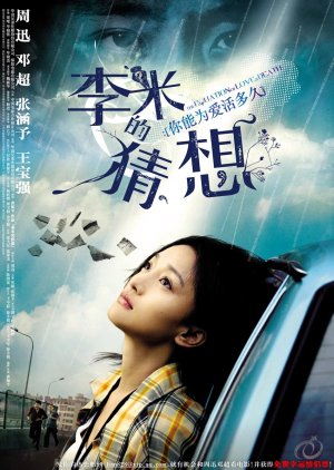 The Equation of Love and Death (2008) poster