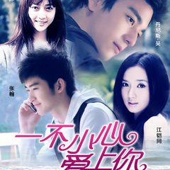 Fall in Love Chinese Drama(2011) photo