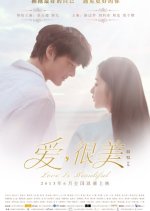 Love Is Beautiful Chinese Movie(2013) photo
