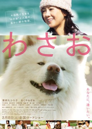 Wasao (2011) poster
