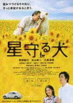 Star Watching Dog Japanese Movie photo