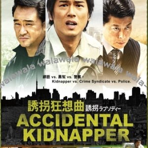 Accidental Kidnapper (2010)