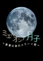 Mieru Onna Tsukiko Japanese Drama photo