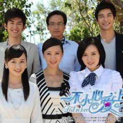 Fall in Love Chinese Drama(2011) photo