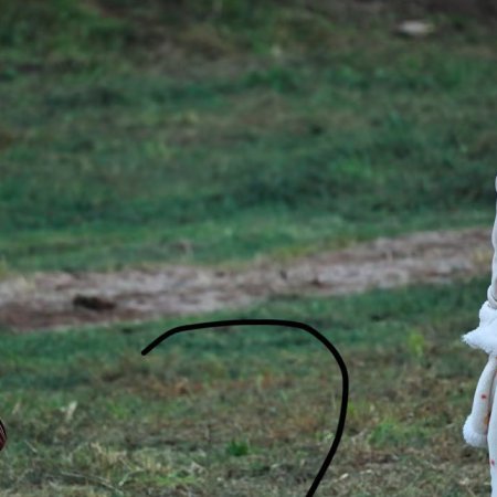 The Lament of Autumn ()