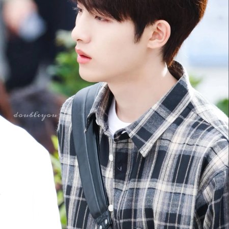 Sunshine through the Rain ()