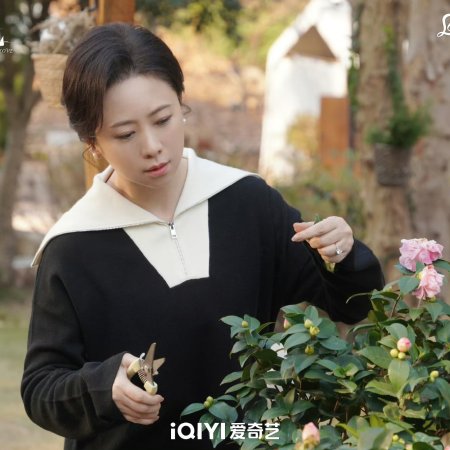 Speed and Love (2025)