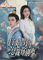 Tai Zi Fei Jia Dao, Zong Cai Ni Bie Pao Chinese Drama(2024) photo
