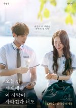 Even if This Love Disappears from the World Tonight Korean Movie(2025) photo