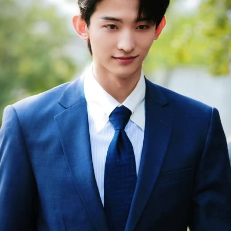 The Vanishing Beauty ()