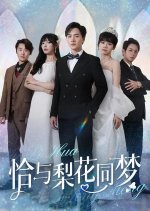 Qia Yu Li Hua Tong Meng Chinese Drama(2025) photo