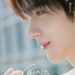 Blushing When We Meet Again Chinese Drama(0000) photo
