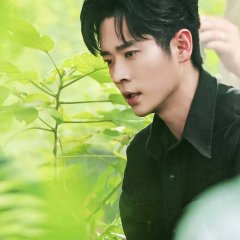 The Leading Stars Chinese Drama(2026) photo
