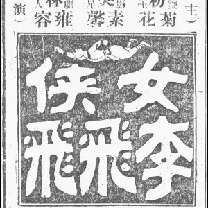 Heroine Li Fei Fei ()