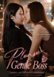 Please Be Gentle Boss