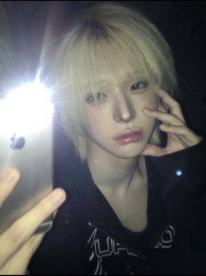 sfholic