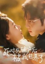 Si Dui Tou Po Chan Hou Bei Wo Bao Yang Le Chinese Drama photo