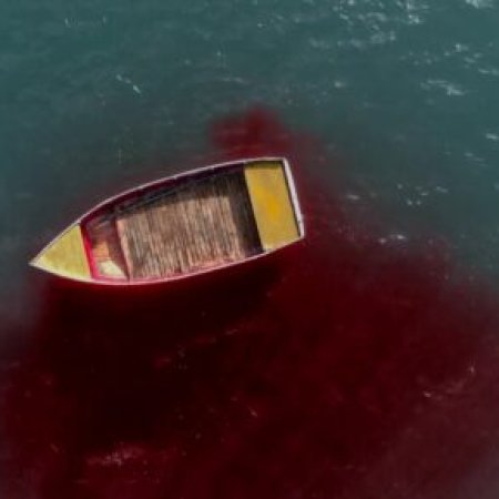 Huge Shark (2021)