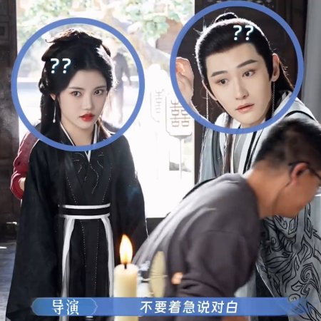 The Blossoming Love (2025)