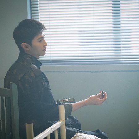 The White Olive Tree (2025)