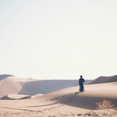 The Legend of Lu Xiaofeng ()