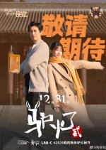 Donkey Star Season 2 Chinese Drama(2025) photo